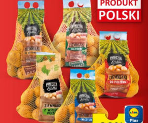 Super promocje w Lidlu