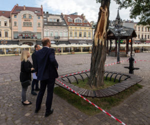 Drzewo na rynku zagrożone. Wczorajsza burza ułamała jeden z konarów