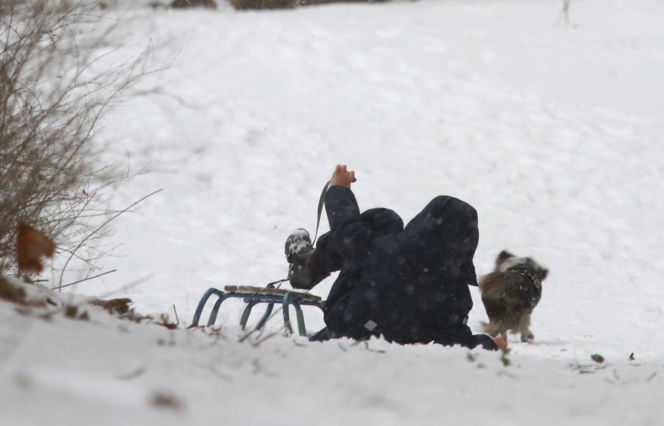 Marta Kaczyńska z synem i psami na sankach w lesie