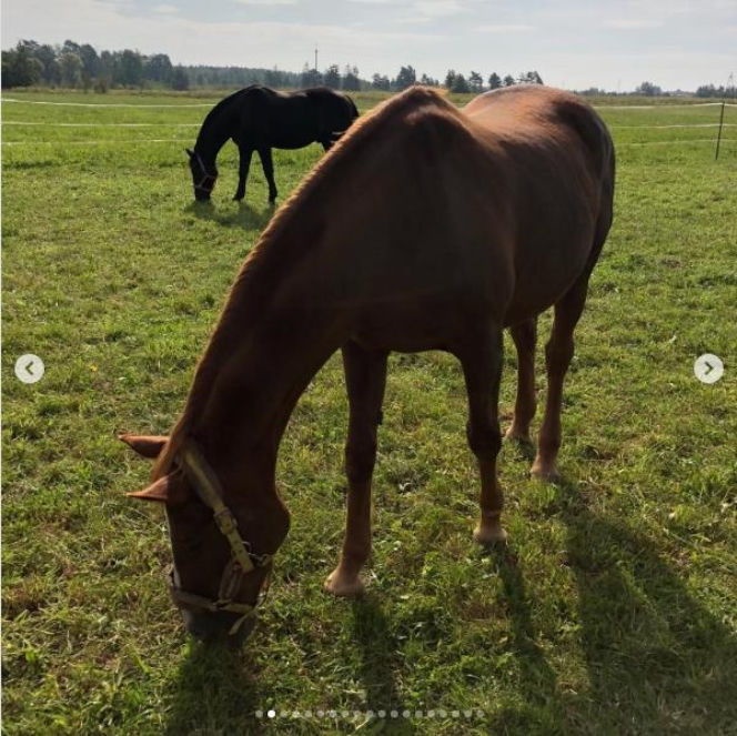 Katarzyna Dowbor, Rodezja