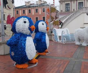 Bajkowa instalacja przed zamojski ratuszem