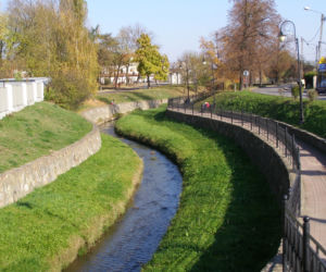Tarnów: Pijesz alkohol w plenerze w tych miejscach? Mandat masz jak w banku!