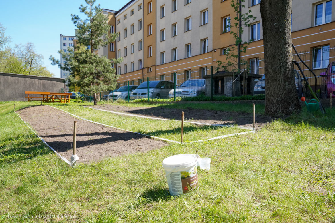 Białystok. Łąki kwietnie przy szkołach i przedszkolach. Miasto rusza z nowym programem