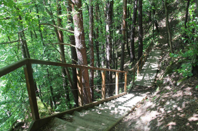 Drugie życie dostanie Park Węgielnik w Piwnicznej.  Remont może ruszać.