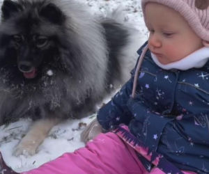 Antoni Królikowski bawi się z córką na śniegu