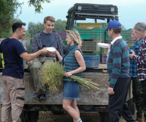 Barwy szczęścia odc. 3276