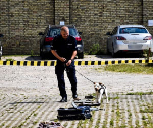 Policjanci na czterech łapach szkolili się w areszcie śledczym [ZDJĘCIA]