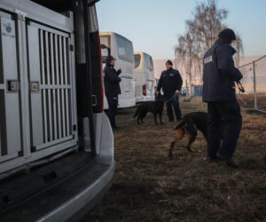 Śmigłowce i dziesiątki radiowozów na ulicach Małopolski