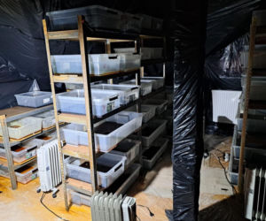 Policjanci zlikwidowali fabrykę narkotyków