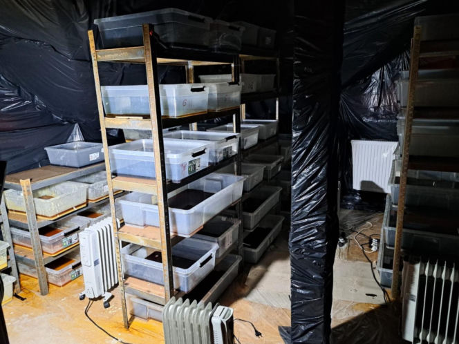 Policjanci zlikwidowali fabrykę narkotyków