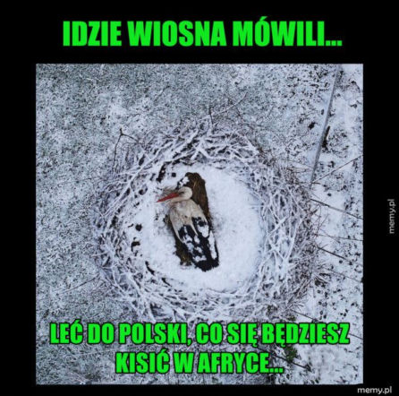 Równonoc wiosenna. Śmieszne obrazki na śnieżną wiosnę
