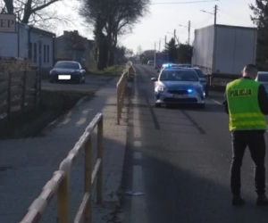 Łódzkie. Wypadek w Konstantynowie. Ranny 9-letni rowerzysta
