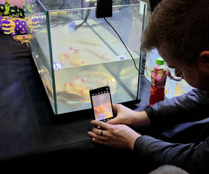 Egzotyczny świat zawitał do Bydgoszczy! Pająki i węże były na wyciągnięcie ręki