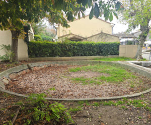 Cesenatico - klimatyczny kurort z historią. Przewodnik po najciekawszych miejscach