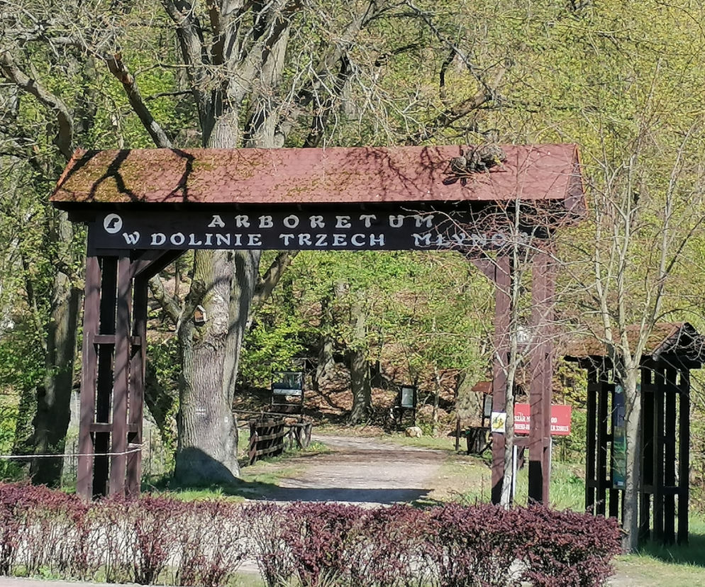 bogdaniec
