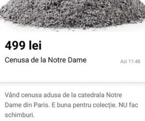 Fałszywy popiół z katedry Notre Dame na sprzedaż