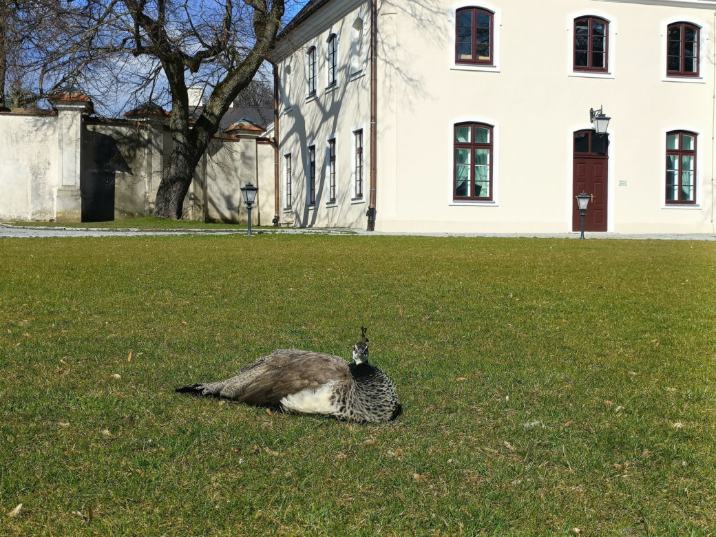 Muzeum Zamoyskich w Kozłówce wczesną wiosną