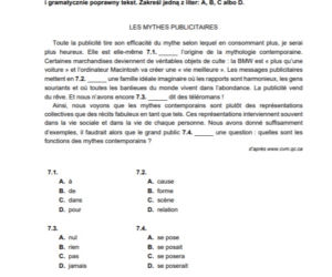 Matura 2021: Język francuski. Arkusze CKE z francuskiego znajdziesz tutaj [Matura 12.05.2021]