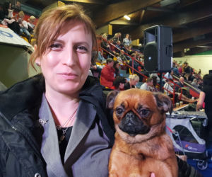 ​Psia elita w Lesznie. W hali Trapez odbyła się XXIV wystawa Champion of Champion's Show