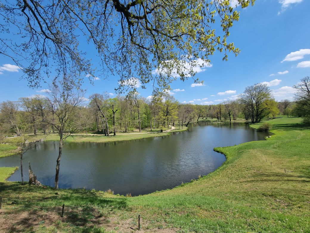 Przepiękne miejsce z odznaczeniem UNESCO blisko granicy polsko-niemieckiej. Zobaczcie jak wygląda Park w Mużakowie
