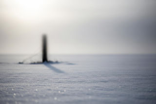 Zamarzający pies w Wielbarku. Nikt nie pomógł jej od razu?