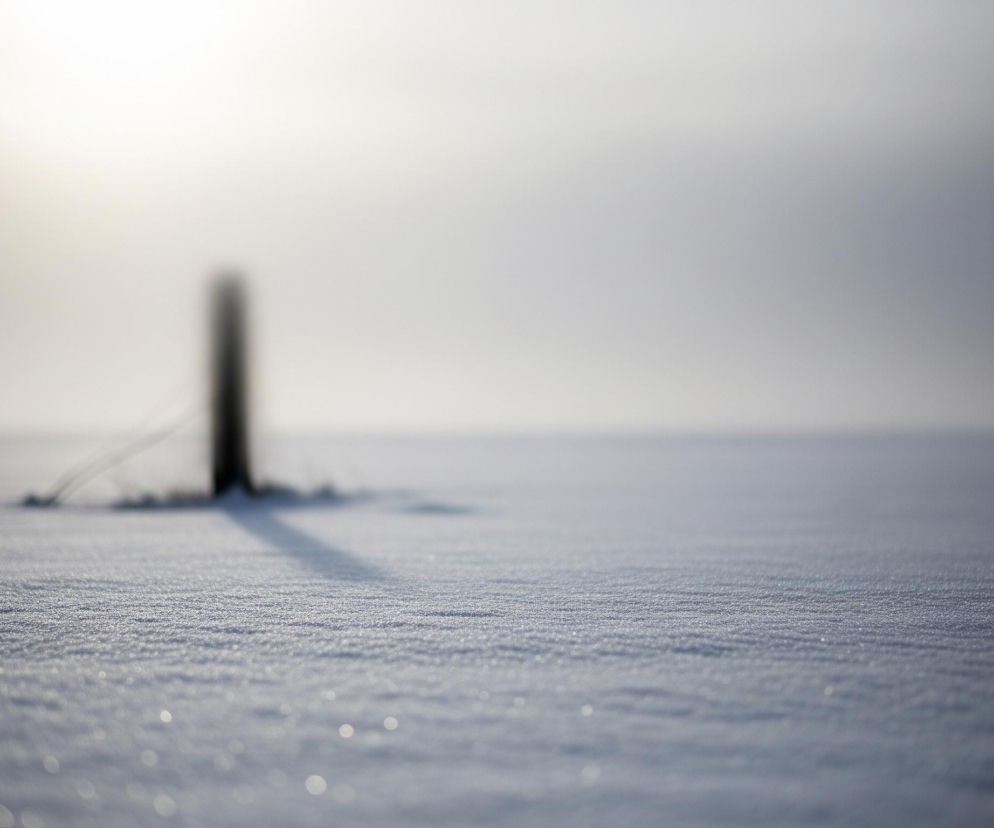 Zamarzający pies w Wielbarku. Nikt nie pomógł jej od razu?