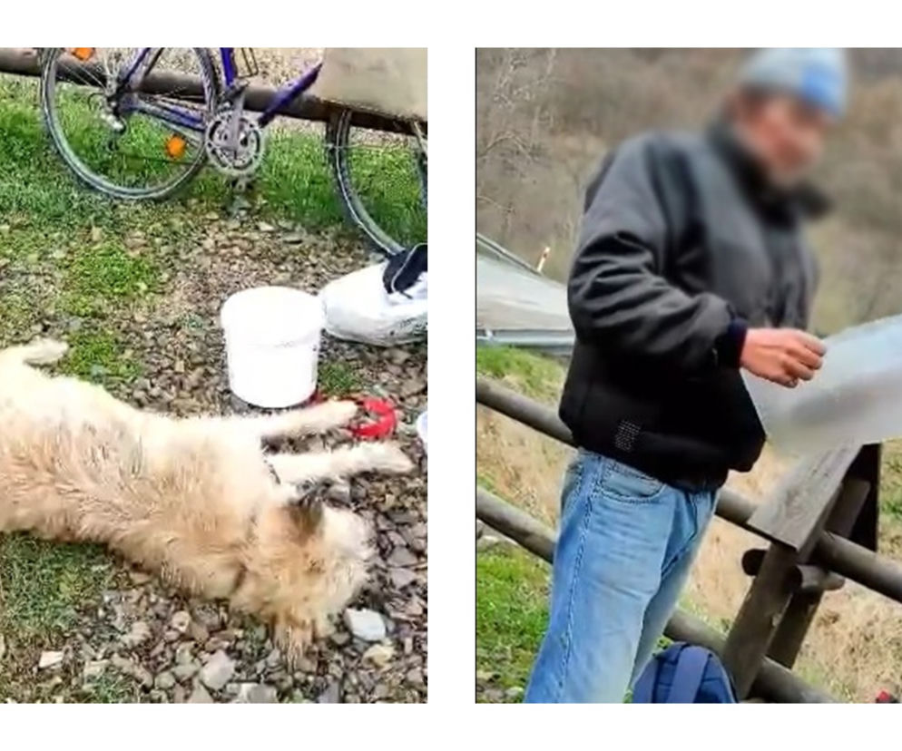 Bieszczady. Weterynarze chcieli pomóc psu, uratowali człowieka [GALERIA]