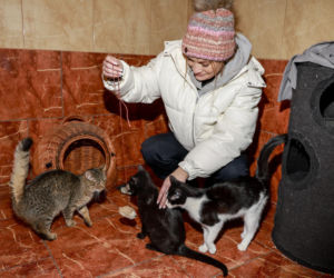 Marta Krupa z pomocą dla zwierząt. Nakarmiła psy i koty w potrzebie