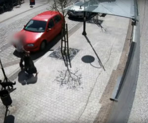 Przerażające sceny w Lęborku! Wielki pies zerwał się ze smyczy i zaatakował trzy osoby. 8-latka pogryziona [ZDJĘCIA].