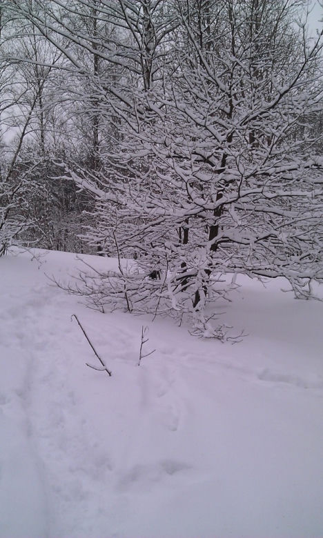 Nagły atak zimy w Wielkanoc. Spadło nawet 40 cm śniegu