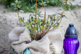 Tak wygląda grób Bożeny Dykiel