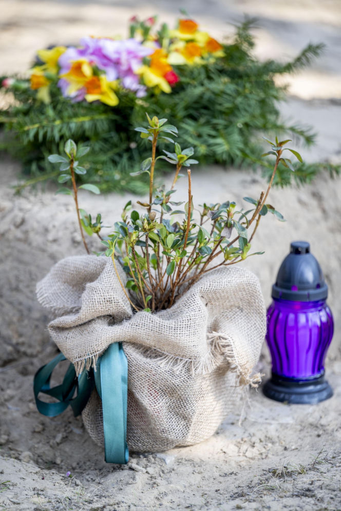 Tak wygląda grób Bożeny Dykiel