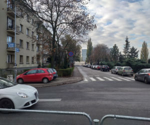 Dzikie parkowanie w katowickiej dzielnicy Koszutka. Mieszkańcy mają dość