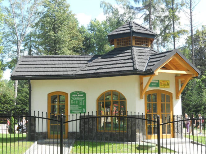 To jedno z najpiękniejszych miast w Małopolsce. Jest też jedynym takim uzdrowiskiem w Polsce