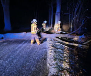 Wichura zniszczyła zabytkową kapliczkę przy sanktuarium