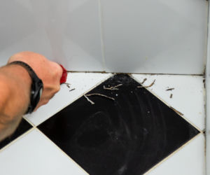 Jak poprawnie usunąć starą fugę i silikon oraz nałożyć nowy? Murator Remontuje