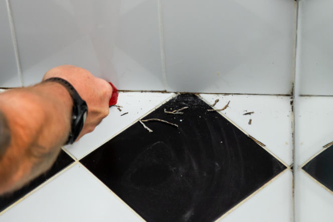 Jak poprawnie usunąć starą fugę i silikon oraz nałożyć nowy? Murator Remontuje