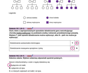 Matura 2026 z biologii ROZSZERZONEJ: odpowiedzi do wszystkich zadań z arkusza CKE 8.05.2026