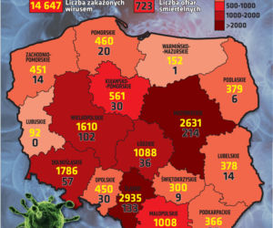 Koronawirus w Polsce. Najnowsze dane 6.05.2020 godz. 10:30
