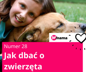 Jak dbać o zwierzęta