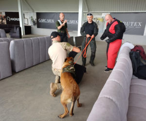 Psy służbowe, szkolenia i strefa pierwszej pomocy. Trwa drugi dzień CERBERUS K9 w Ostrowie