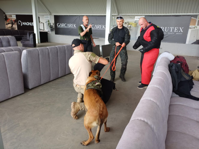 Psy służbowe, szkolenia i strefa pierwszej pomocy. Trwa drugi dzień CERBERUS K9 w Ostrowie