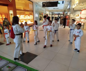 34. Finał WOŚP w Galerii Siedlce