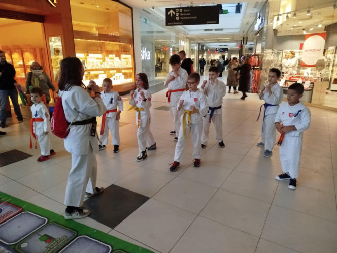 34. Finał WOŚP w Galerii Siedlce