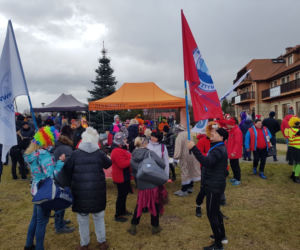 Dadajowy Zlot Morsów