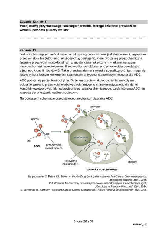 Matura 2025: biologia 9.05.2025. Arkusze CKE i odpowiedzi [Formuła 2015]