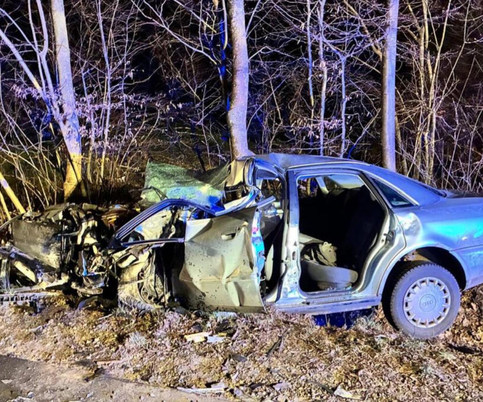 Czołowe zderzenie audi z ciężarówką w powiecie hrubieszowskim