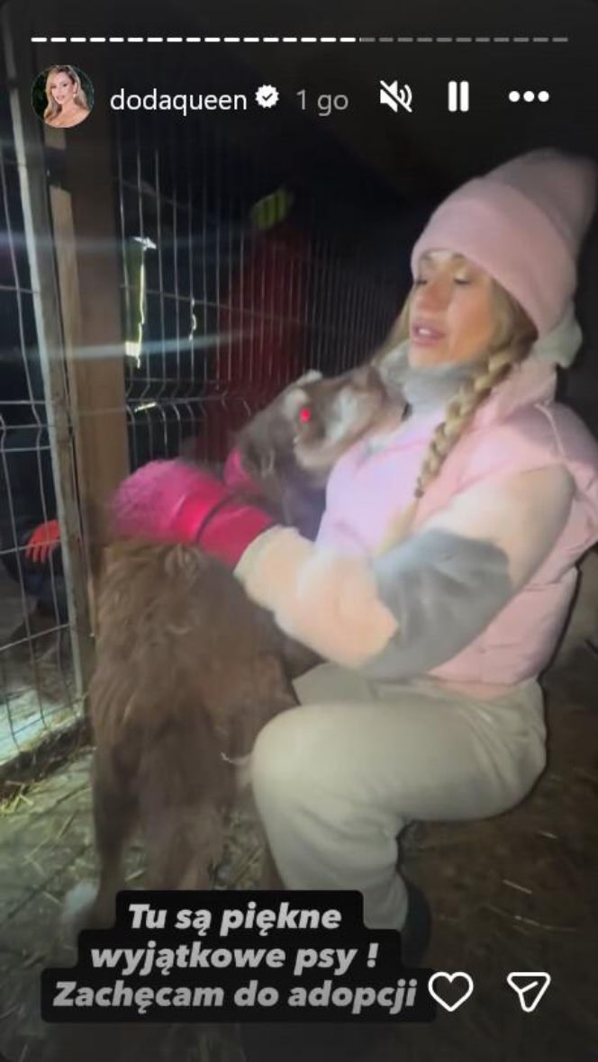 Koniec heroizmu Dody? Artystka mówi dość po dramatycznych wizytach w schroniskach