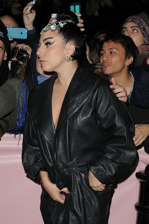 Lady Gaga w 2014 roku