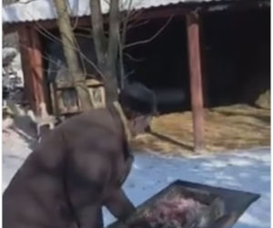 Bocian dostał w dziób od Pana Andrzeja